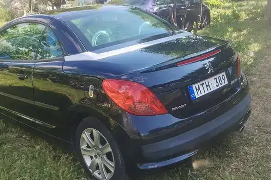 2009 Peugeot 207 1,6L 2009 Cyprus