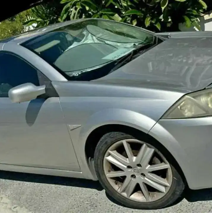 Renault Megane 1,6L