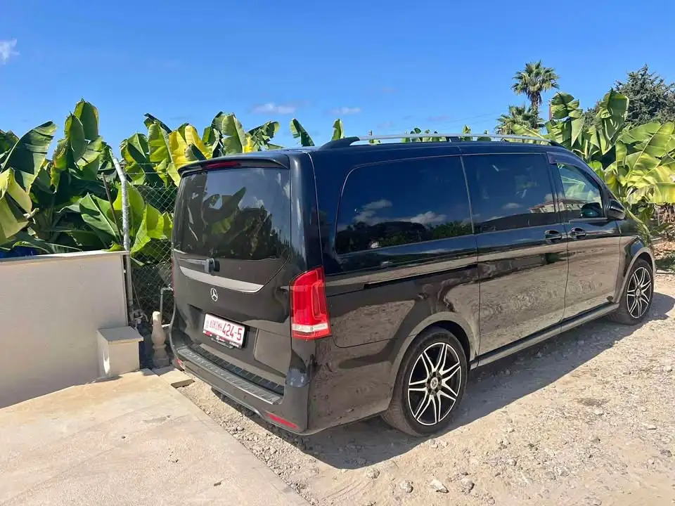 Mercedes Viano 2021