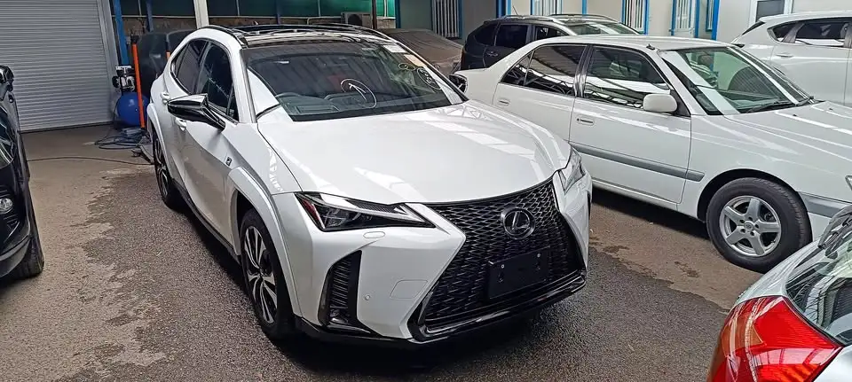 Lexus UX 2,0L 2023