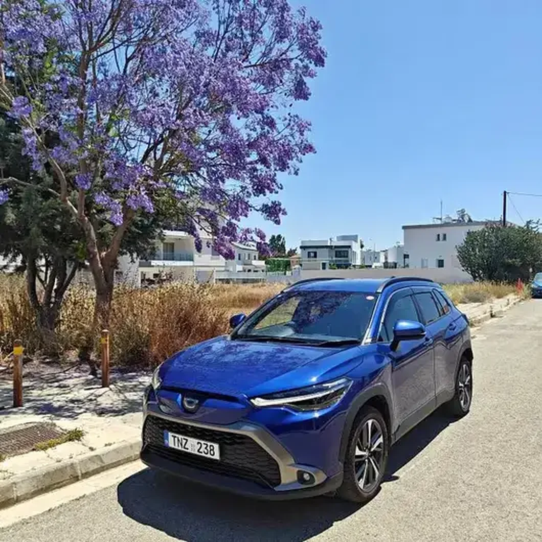 2020 Lexus NX 2,5L 2020 Cyprus
