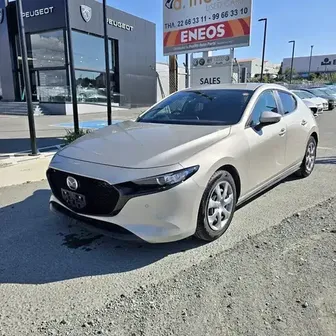 Tesla Model 2021