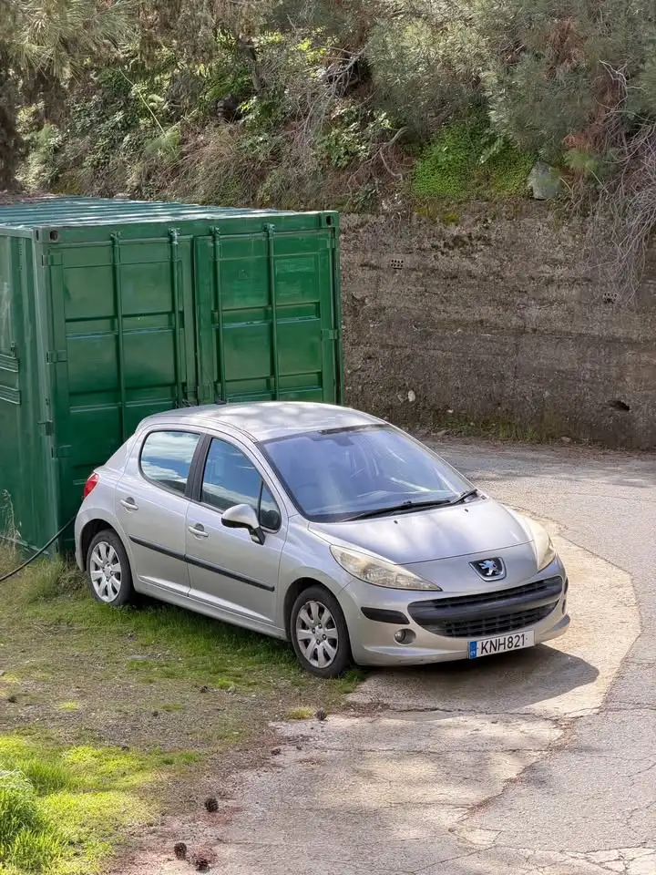 2006 Peugeot 207 1,4L 2006 Cyprus