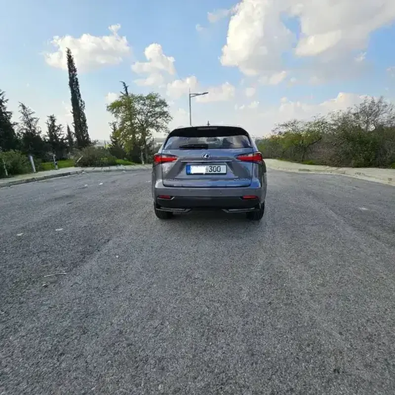 2016 Lexus NX 2,5L 2016 Cyprus