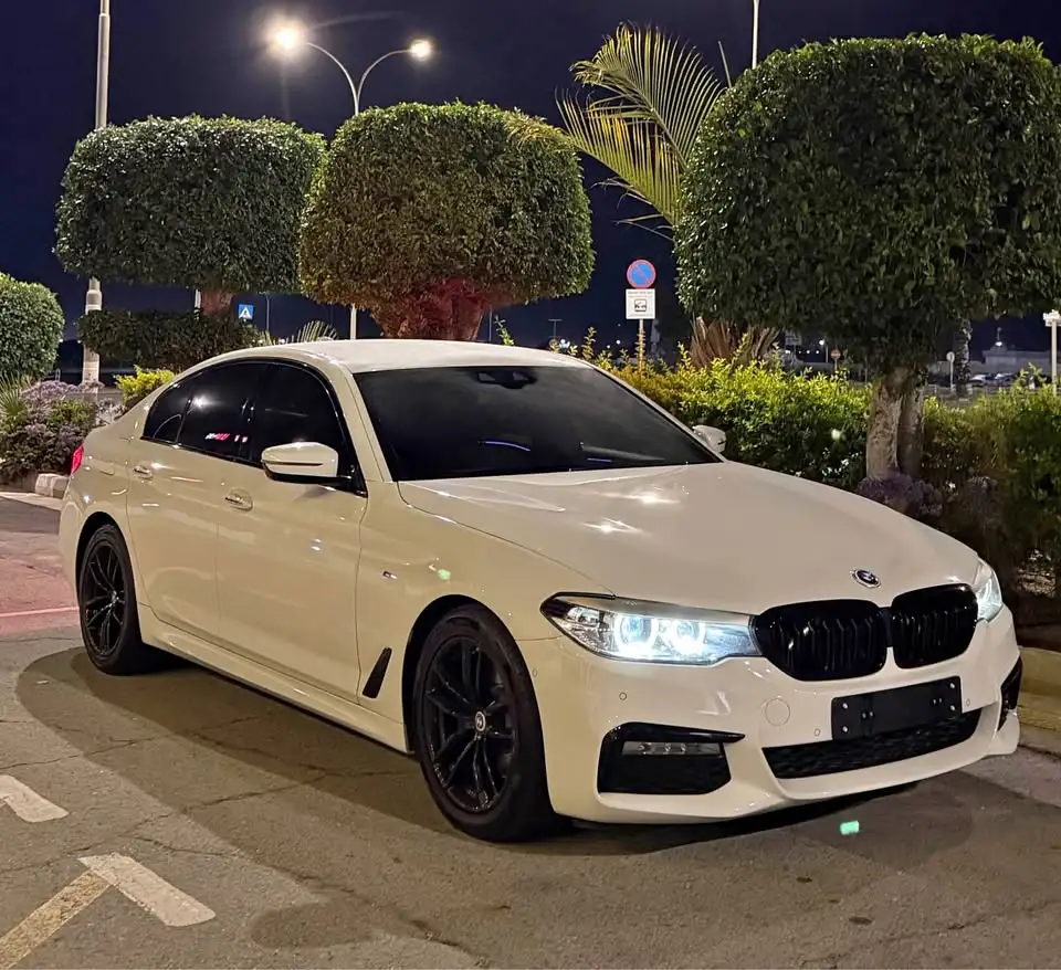 BMW 5 2,0L 2018