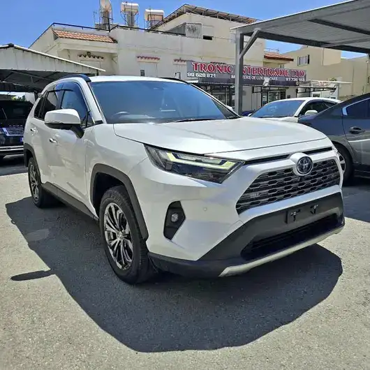 2021 Toyota Rav4 2,5L 2021 Cyprus