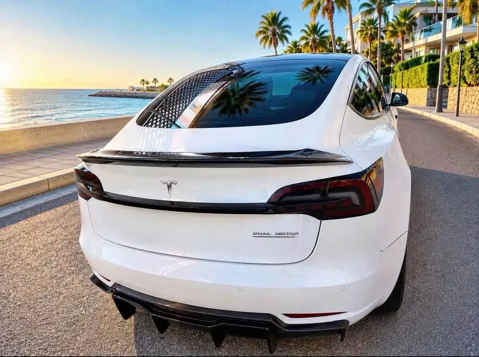 Tesla 3 2021