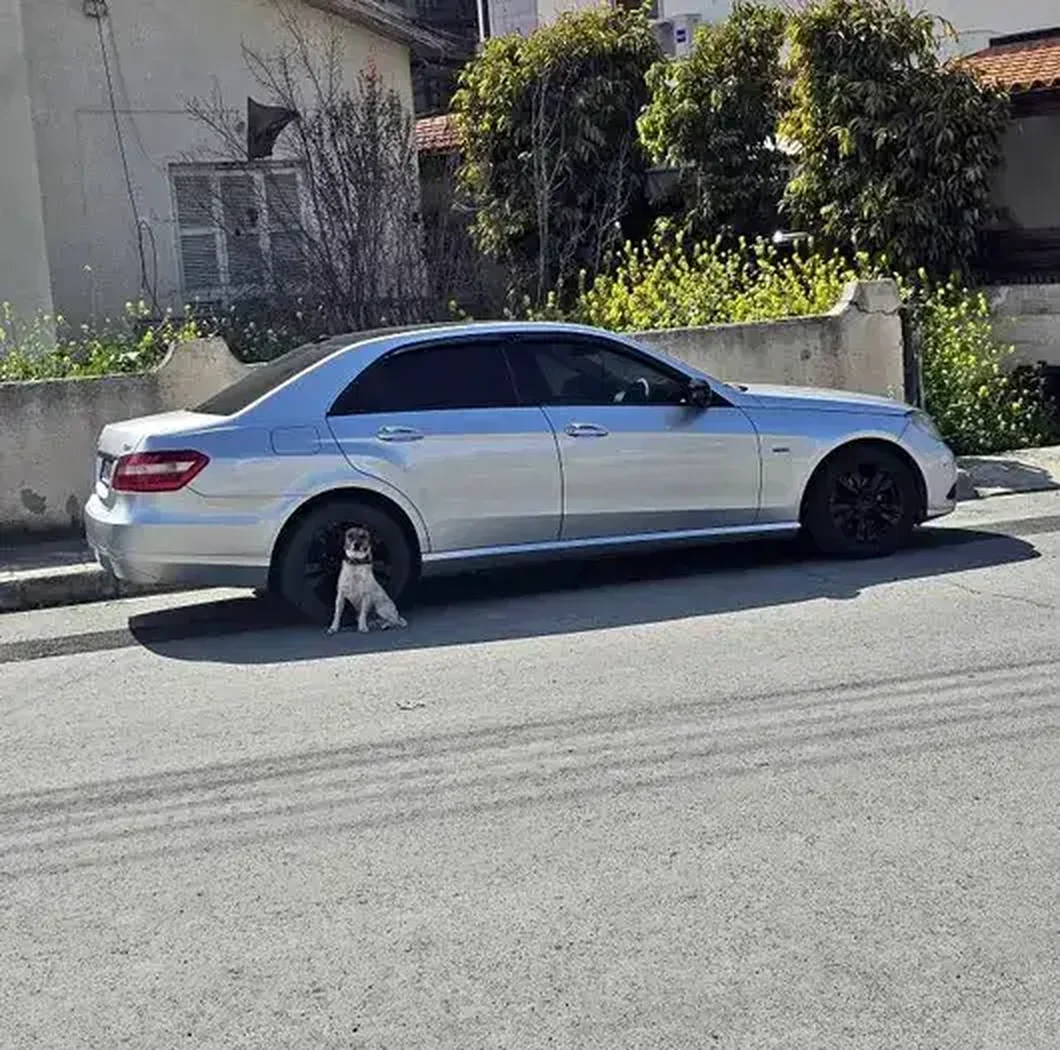 2007 Audi A6 2,0L 2007 Cyprus