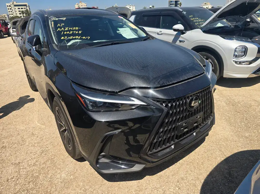 2023 Lexus NX 2,5L 2023 Cyprus